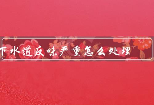 下水道反味严重怎么处理