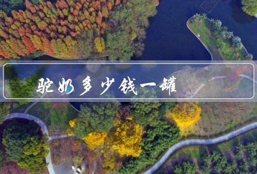 驼奶多少钱一罐