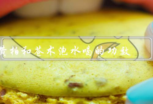 黄柏和苍术泡水喝的功效