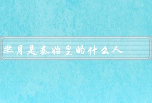 芈月是秦始皇的什么人