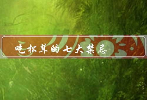 吃松茸的七大禁忌