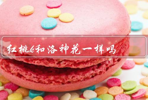 红桃k和洛神花一样吗