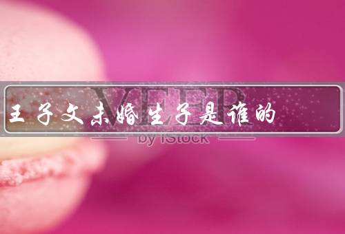 王子文未婚生子是谁的