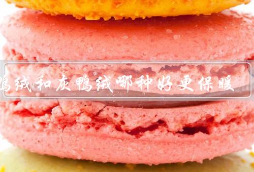 白鸭绒和灰鸭绒哪种好更保暖