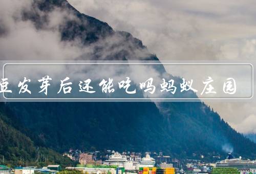 土豆发芽后还能吃吗蚂蚁庄园