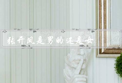 张开凤是男的还是女