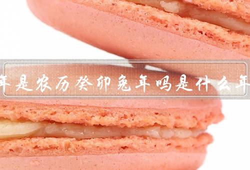2023年是农历癸卯兔年吗是什么年