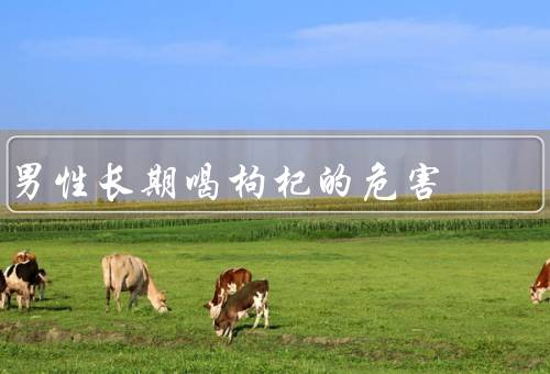 男性长期喝枸杞的危害
