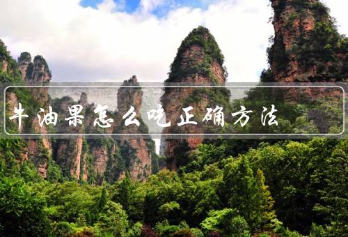 牛油果怎么吃正确方法，直接吃／做沙拉／做奶昔（5种吃法不重样）