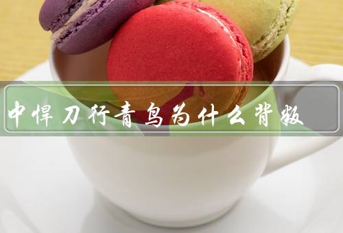 雪中悍刀行青鸟为什么背叛