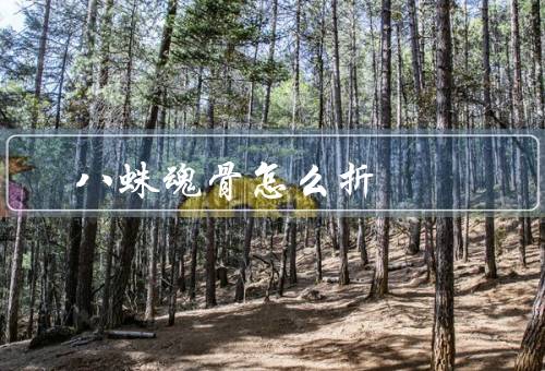 八蛛魂骨怎么折