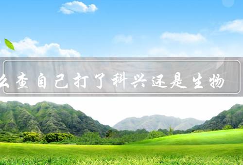 怎么查自己打了科兴还是生物，支付宝／微信健康码下方最快查询