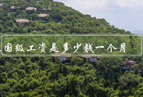 正国级工资是多少钱一个月