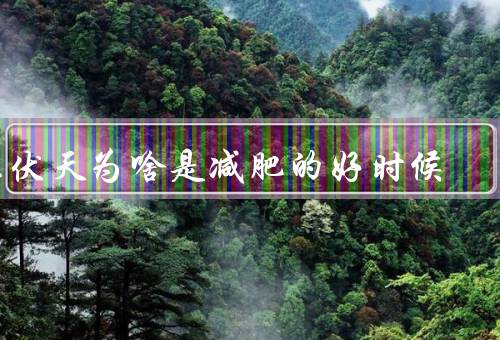 三伏天为啥是减肥的好时候