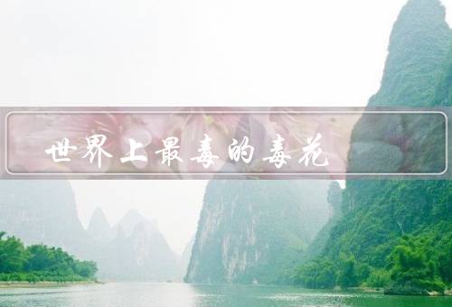 世界上最毒的毒花