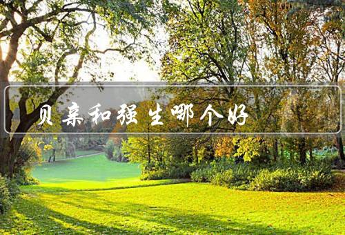 贝亲和强生哪个好，从品牌／种类／价格来定义优质