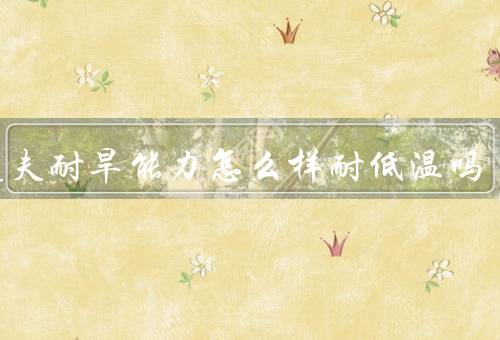清道夫耐旱能力怎么样耐低温吗