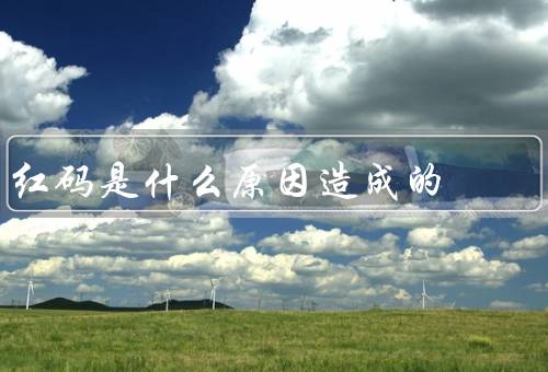 红码是什么原因造成的