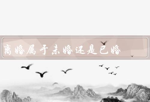 离婚属于未婚还是已婚