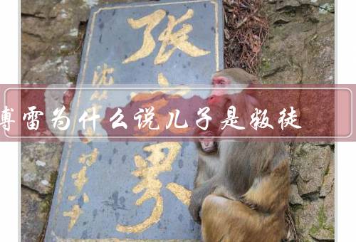 傅雷为什么说儿子是叛徒