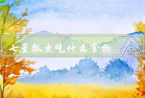 七星瓢虫吃什么食物