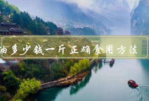 茶油多少钱一斤正确食用方法