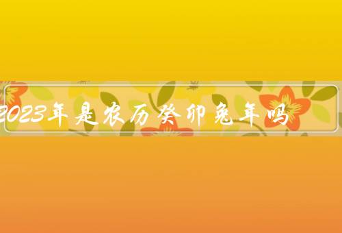 2023年是农历癸卯兔年吗