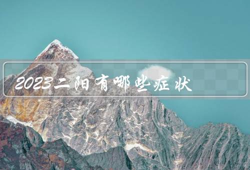 2023二阳有哪些症状
