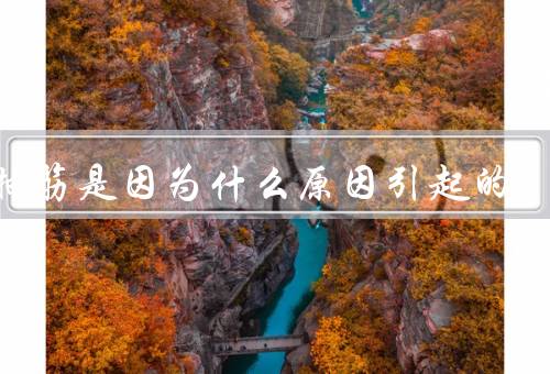 腿抽筋是因为什么原因引起的