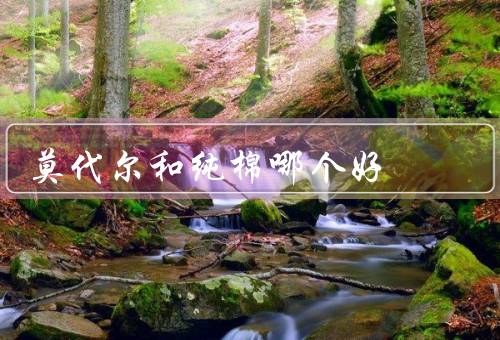 莫代尔和纯棉哪个好