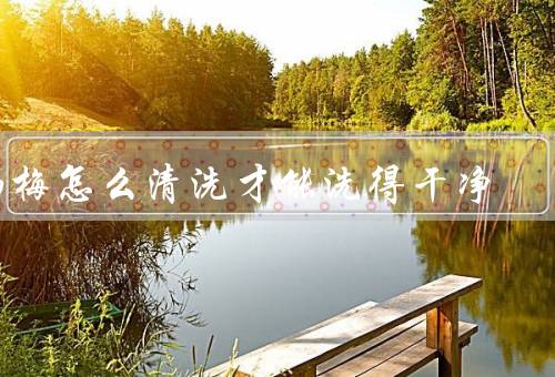 杨梅怎么清洗才能洗得干净