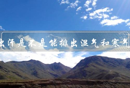 夏天出汗是不是能排出湿气和寒气