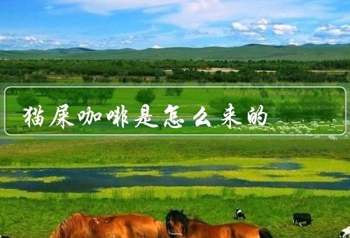 猫屎咖啡是怎么来的