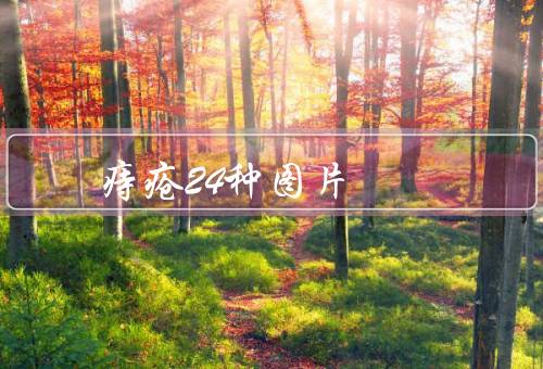 痔疮24种图片