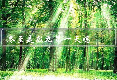 冬至是数九第一天吗