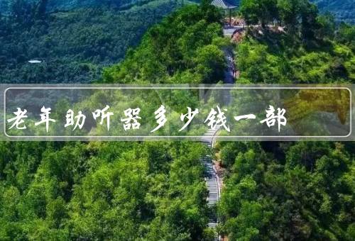 老年助听器多少钱一部