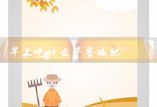 早上吃什么早餐减肥