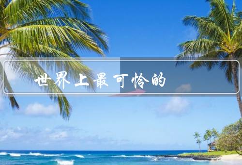 世界上最可怜的