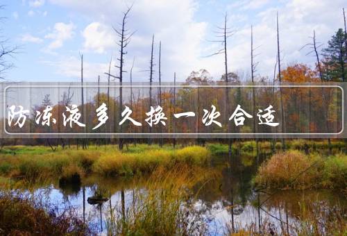 防冻液多久换一次合适