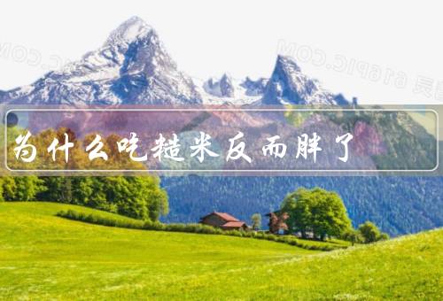 为什么吃糙米反而胖了