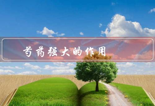 芍药强大的作用