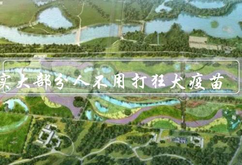 其实大部分人不用打狂犬疫苗