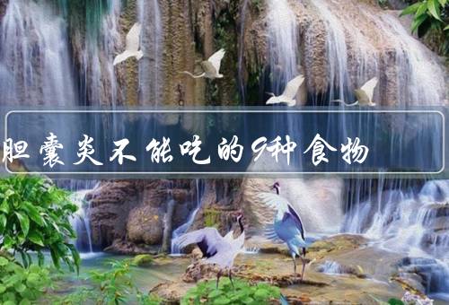 胆囊炎不能吃的9种食物