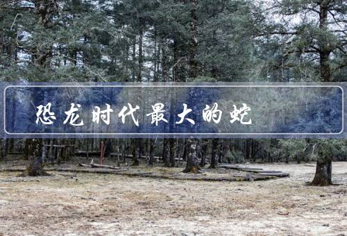 恐龙时代最大的蛇