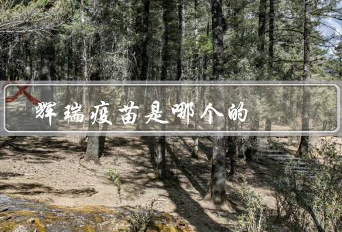 辉瑞疫苗是哪个的
