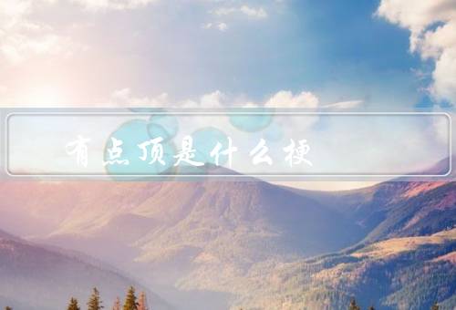 有点顶是什么梗