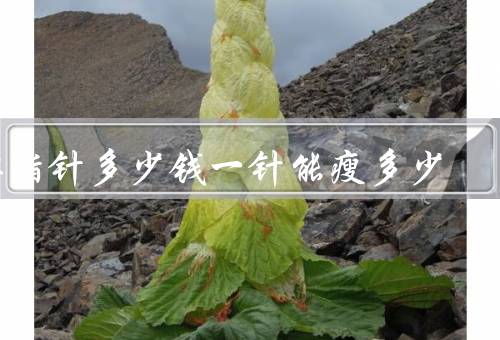 溶脂针多少钱一针能瘦多少