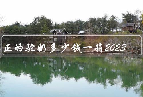 真正的驼奶多少钱一箱2023
