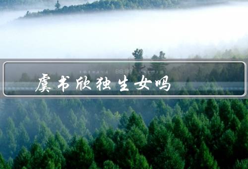 虞书欣独生女吗