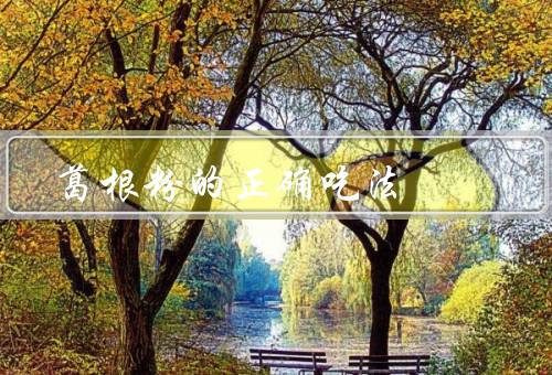 葛根粉的正确吃法